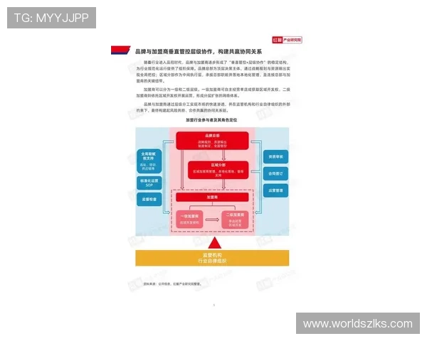尊龙集团(Z6)在国际市场中的合作模式与品牌建设路径